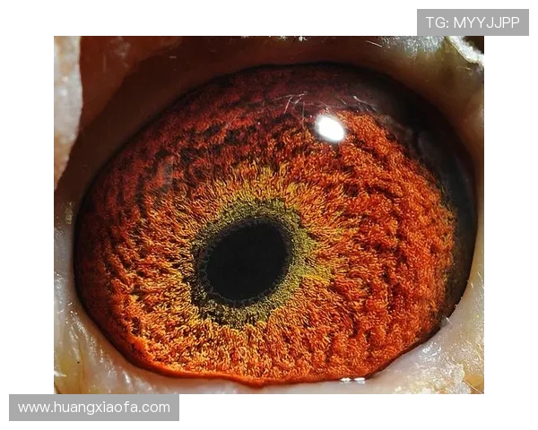 如何在AG国际网页版中进行快速充值和提现操作,提升游戏流程的便利性 如何在AG国际网页版中进行快速充值和提现操作,提升游戏流程的便利性