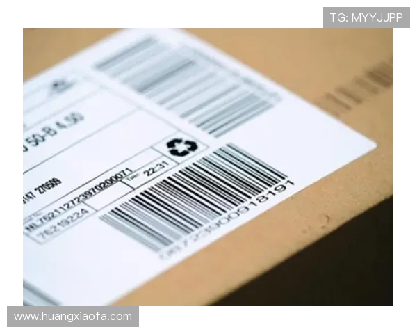 k8凯发网址官网入口详细介绍，帮助新手快速找到登录路径