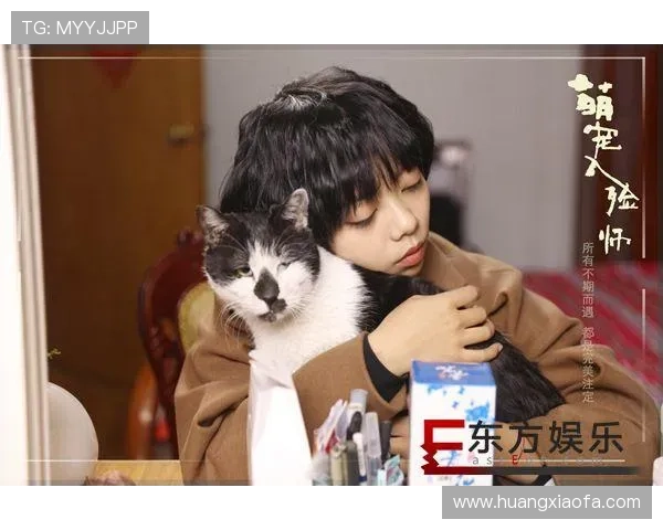 凯发娱乐集团官网注册流程与账号安全保障详细操作步骤解析