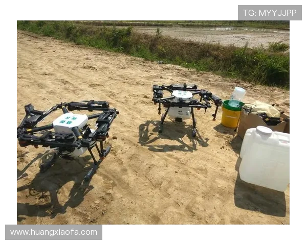 凯发K8中国官网提供的丰富游戏种类与优质客户服务详解