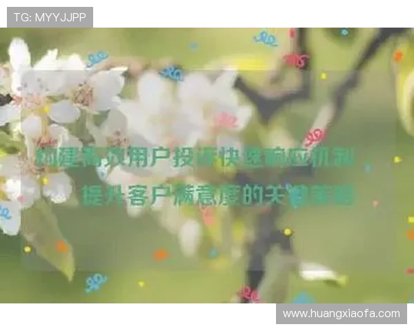 凯发国际平台如何应对玩家投诉与提升客户满意度的策略